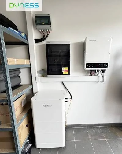 Technische installatie van de Dyness Tower Pro met bekabeling en omvormer