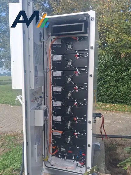 Geopende Dyness-batterijkast met gestapelde modules